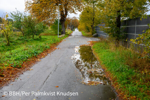 Efterår i Blovstrød - Østre Teglværksvej
