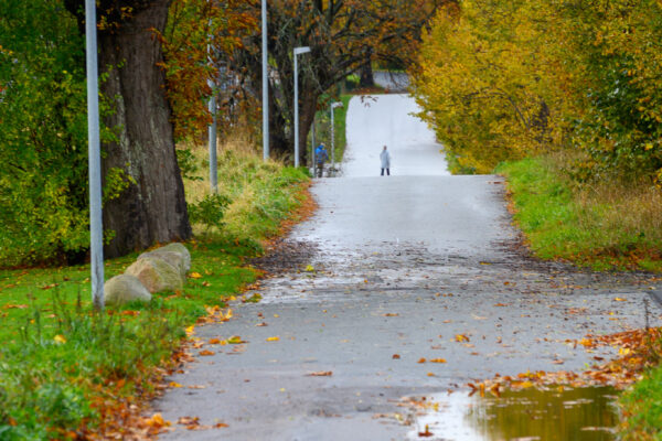 Efterår i Blovstrød - Østre Teglværksvej