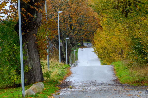 Efterår i Blovstrød - Østre Teglværksvej